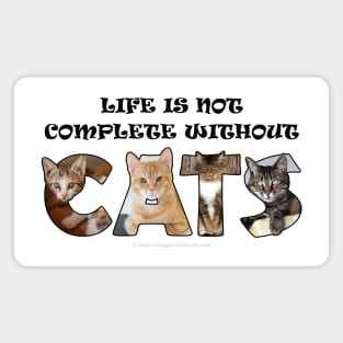 Life is not complete without cats - mixed cats oil painting word art Magnet